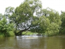 Trasa Krzętów-Przedbórz