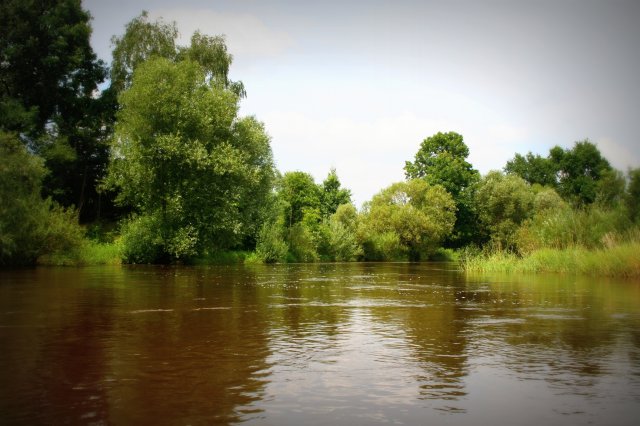 Krzętów-Przedbórz - spływy kajakowe Pilicą