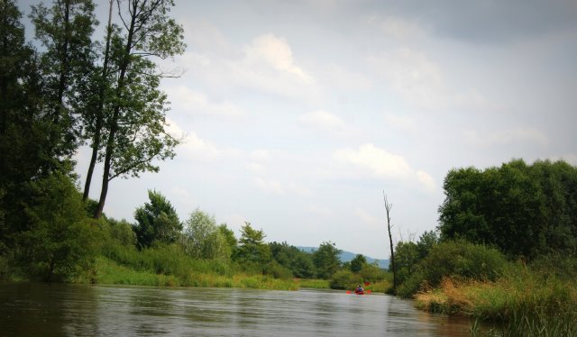 Krzętów-Przedbórz - spływy kajakowe Pilicą