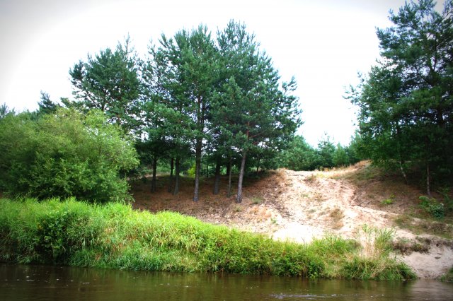 Krzętów-Przedbórz - spływy kajakowe Pilicą