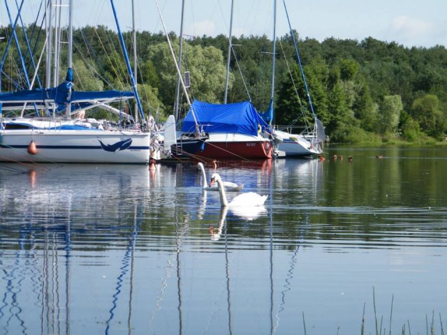 Port u "Łysego"